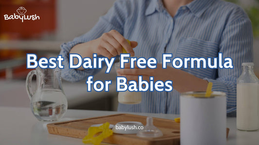 Best Dairy Free Formula for babies: Milk-Free And Lactose-Free Choices For Your Little One